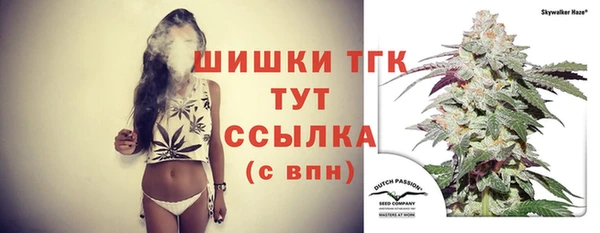 прущие крисы Кулебаки