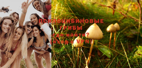 таблы Коряжма