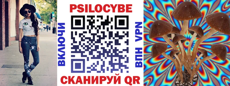 Псилоцибиновые грибы Psilocybe  Урень 